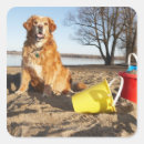 Search for beach dog stickers Sand