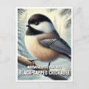 Search for bird lover postcards Chickadee