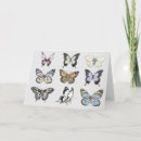 Search for butterfly note cards Moth