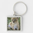 Search for kevin accessories Wild