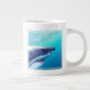 Search for cool shark mugs Fish