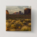 Search for park badges Usa
