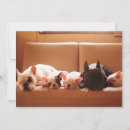 Search for bulldog thank you cards Domestic animals