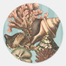 Search for sea creature stickers Seashell