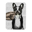 Search for moustache magnets French bulldog
