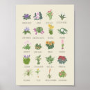 Search for garden posters Cute