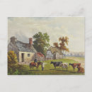 Search for vintage farm postcards Cows