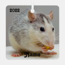 Search for in russian christmas decor Cute