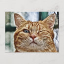 Search for winking postcards Funny