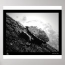 Search for pond turtle posters Water