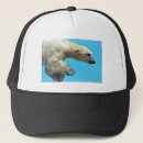 Search for polar bear baseball caps Mammal