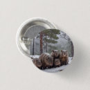 Search for wombat badges Australian