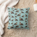Search for cute otter cushions Funny