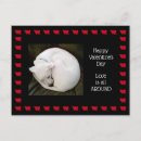 Search for dog napping postcards White