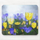 Search for blue tulips mousepads Purple
