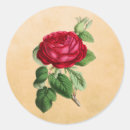 Search for vintage red rose stickers Nature