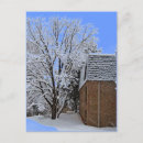 Search for winter trees postcards Blizzard