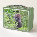 Search for ape kitchen dining Gorilla