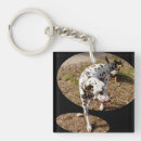 Search for dalmatian key rings Pet