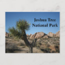 Search for joshua tree national park postcards Desert