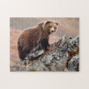 Search for brown bear puzzles Nature