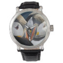 Search for puffin watches Animal