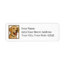 Search for lab return address labels Cute