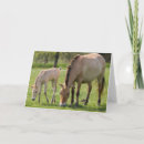 Search for grazing cards Ranch