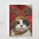 Search for foreground cards Antler