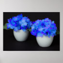 Search for flower pot posters Flowers