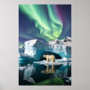 Search for arctic Aurora borealis