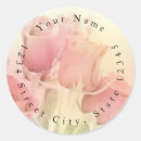 Search for yellow roses return address labels Photography