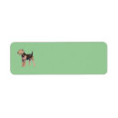 Search for airedales return address labels Animal