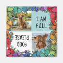 Search for dog fed magnets Pet