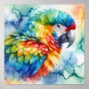 Search for macaw parrot posters Watercolor