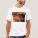 Search for kata Desert