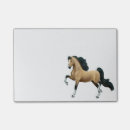 Search for saddlebred Riding