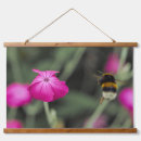 Search for bee image art Pink flower