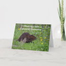 Search for beaver cards Humour