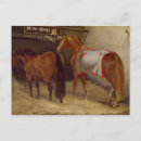 Search for horse stable postcards 19th