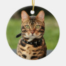 Search for bengal cat christmas tree decorations Kitten