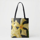 Search for jasmine bags Trachelospernum jasminoides
