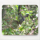 Search for doe electronics Animals