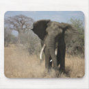 Search for elephant mousepads Wild