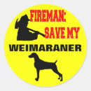 Search for weimaraner dog stickers Weimaraners