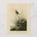 Search for sharp postcards Bird