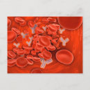 Search for three dimensional postcards Anatomy