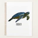 Search for turtle planners Sea
