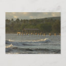 Search for kauai postcards Palm tree
