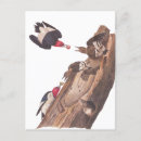 Search for logging postcards Nature